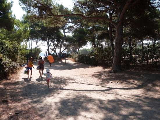 Location mobilhome 6 personnes - mercure (entre 0 et 5 ans) camping le
méditerranée à hyeres