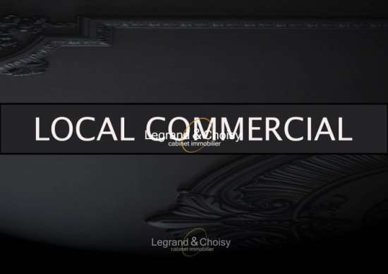 Location local commercial ou professionel